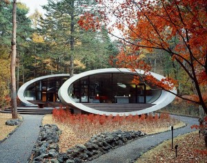 shell house project wood 300x237 shell house project wood