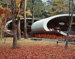 shell house project wood1 300x237 shell house project wood1