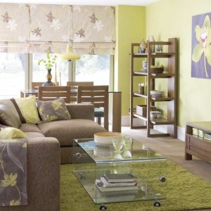 green-and-brown-livingroom-decoration-ideas