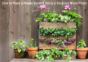 pallet-flower-garden-instructions-6