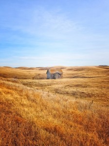 20-Perfect-Lonely-Little-Houses-Blending-in-Nature-For-The-Quiet-Calm-Solitary-Souls-homesthetics-7