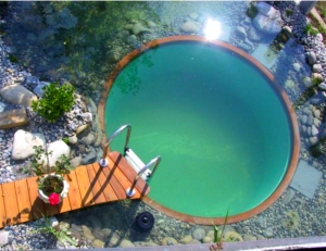 Circular-Natural-Pool
