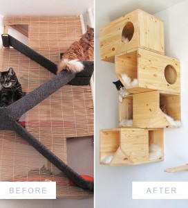 11-Cat-Beds-Before-After