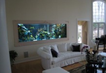 55 оригинални аквариума